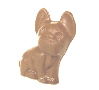 Boston Terrier Dog