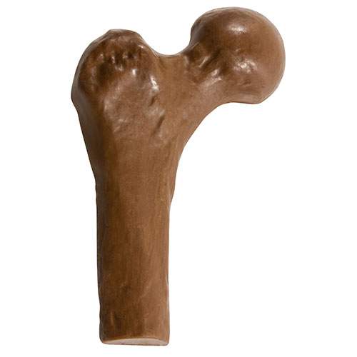 Milk Chocolate Femur  Bone