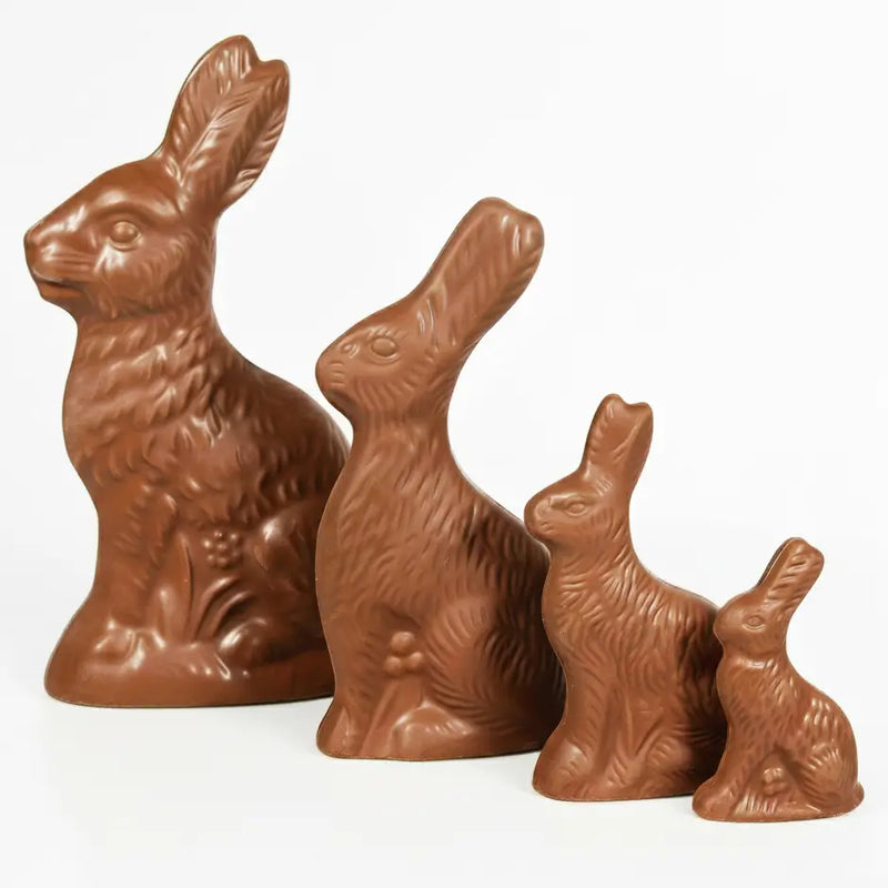 A group of four Solid Easter Chocolate Bunnies standing in line. The bunnies are arranged left to right with their sizes decreasing
