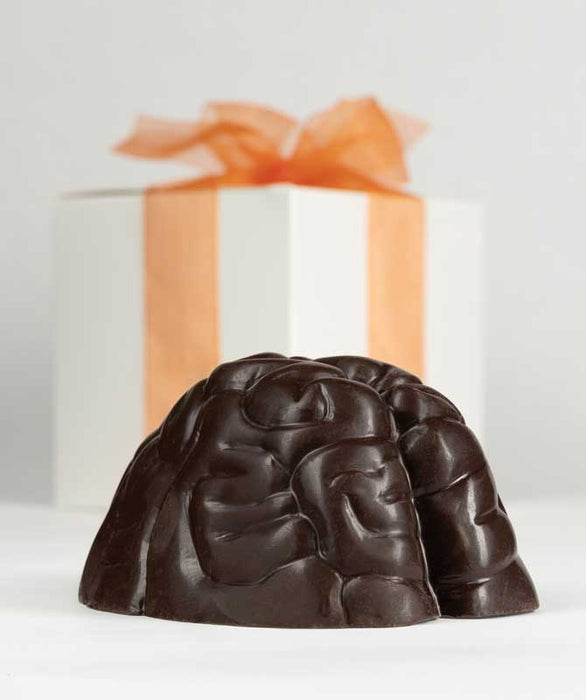 Chocolate Brain