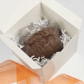 Chocolate Brain