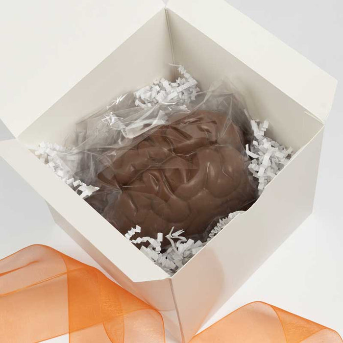 Chocolate Brain