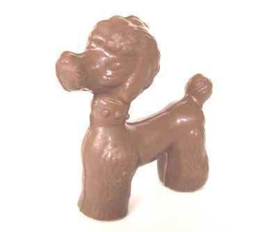 Poodle Dog
