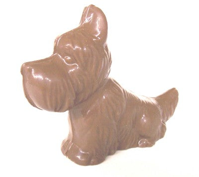 Scottish Terrier Dog