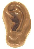 Chocolate Ear