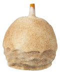 White Chocolate Caramel Apple with Cinnamon Sugar