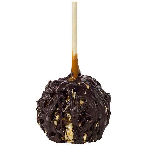 Cashew & Cranberry Caramel Apple with Optional Chocolate