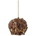 Cashew & Cranberry Caramel Apple with Optional Chocolate