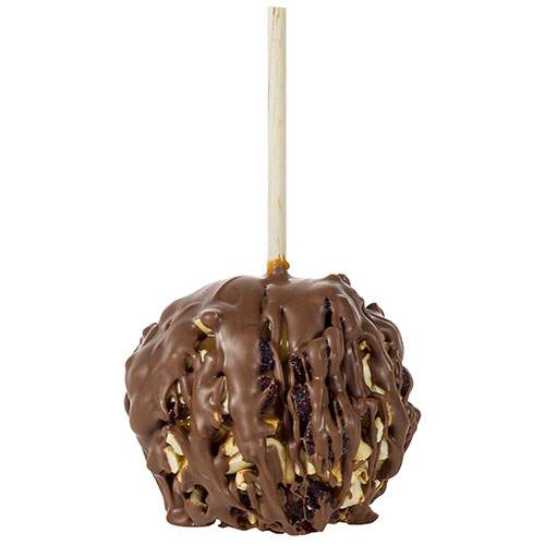 Cashew & Cranberry Caramel Apple with Optional Chocolate