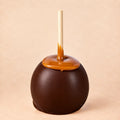 A dark chocolate caramel apple from Morkes Chocolate set on a warm beige background