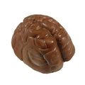 Chocolate Brain