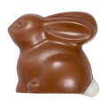 Milk Chocolate White Tail Bunny