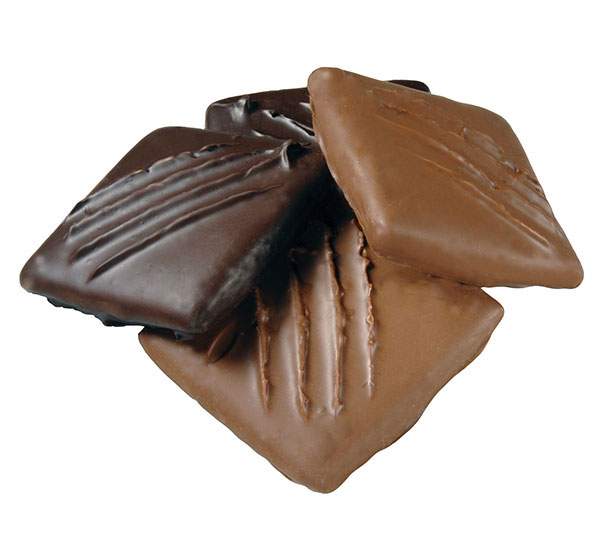 Chocolate Graham Cracker Bars