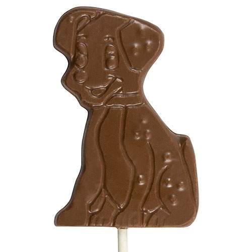 Milk Chocolate Dalmatian Puppy