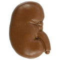 Milk Chocolate Kidney