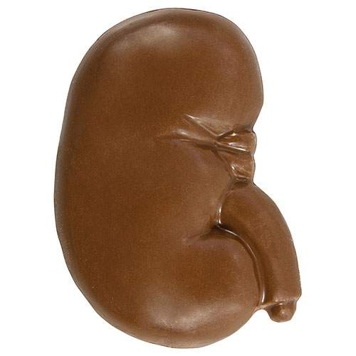 Milk Chocolate Kidney