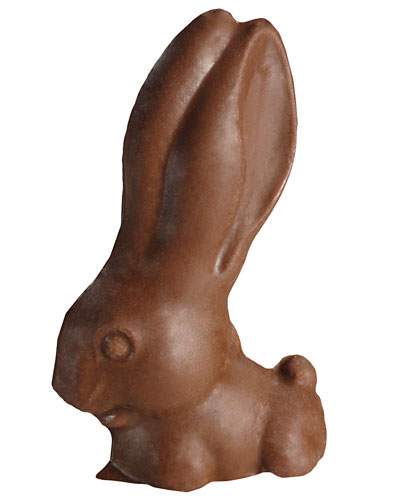 Long Ears Bunny