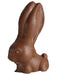 Milk Chocolate Long Ears Bunny