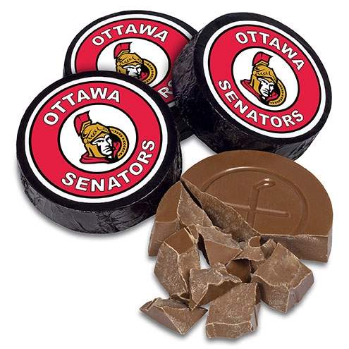 Team Hockey Pucks ~ Set of 4