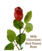 Milk Chocolate Rose by Morkes Chocolates