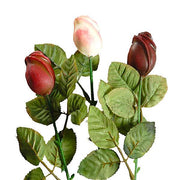 Chocolate Roses by Morkes Chocolates