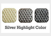 Silver Highlight Variations