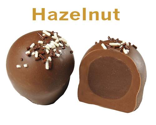 SUCHARD ROCHER Luxury French Chocolate Hazelnut Praline Truffles