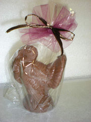 Packaged Milk Chocolate Turkey